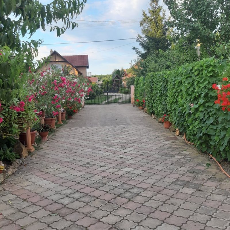 Papp Magdolna kertej 01